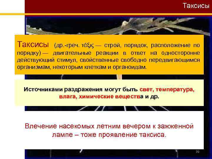 Таксисы (др. -греч. τάξις — строй, порядок, расположение по порядку) — двигательные реакции в