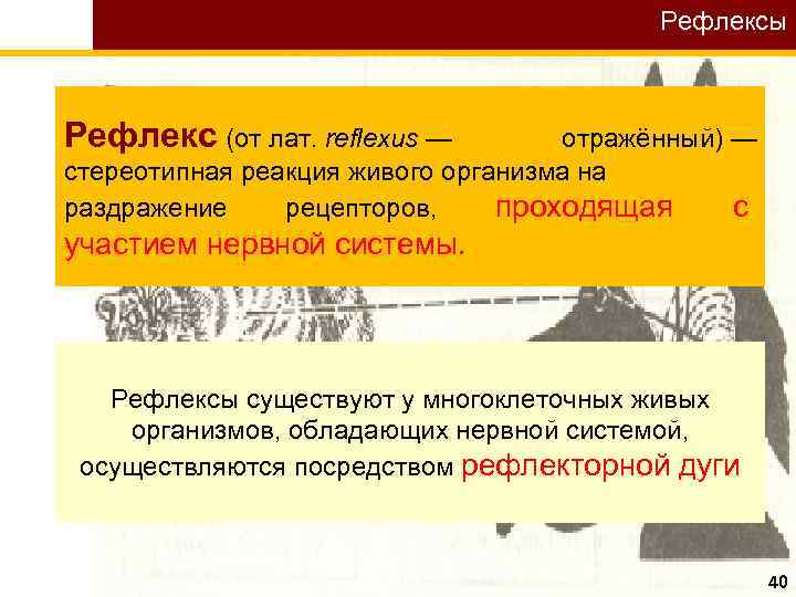 Рефлексы Рефлекс (от лат. reflexus — отражённый) — стереотипная реакция живого организма на раздражение