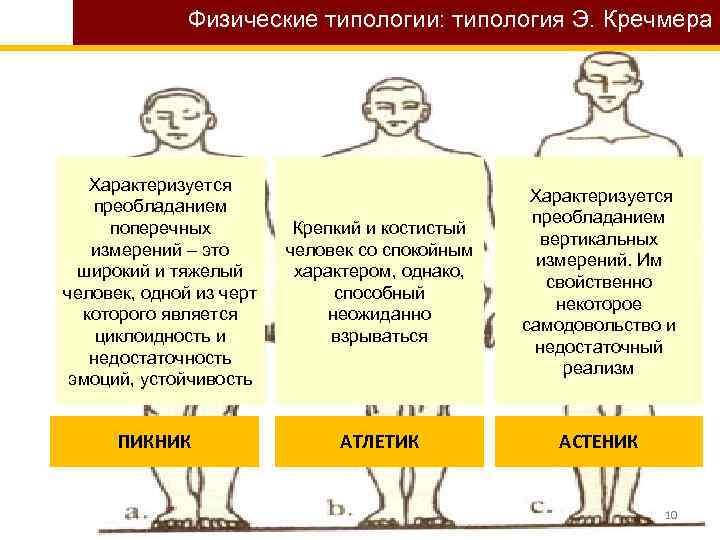 Физические типологии: типология Э. Кречмера Характеризуется преобладанием поперечных измерений – это широкий и тяжелый