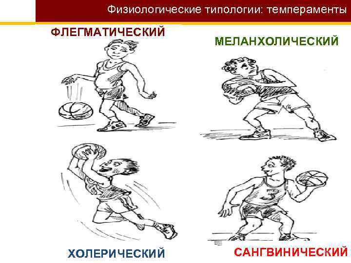 Физиологические типологии: темпераменты ФЛЕГМАТИЧЕСКИЙ ХОЛЕРИЧЕСКИЙ МЕЛАНХОЛИЧЕСКИЙ 11 САНГВИНИЧЕСКИЙ 