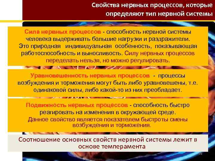 Свойства нервных процессов, которые определяют тип нервной системы Сила нервных процессов - способность нервной