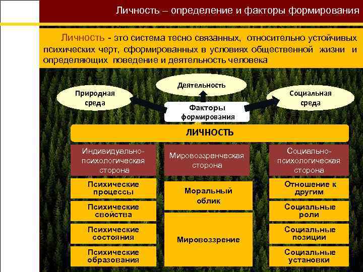 Личность – определение и факторы формирования Личность - это система тесно связанных, относительно устойчивых