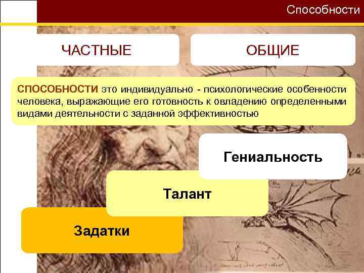 Способности ЧАСТНЫЕ ОБЩИЕ СПОСОБНОСТИ это индивидуально - психологические особенности человека, выражающие его готовность к