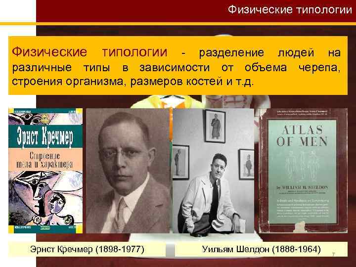 Физические типологии - разделение людей на различные типы в зависимости от объема черепа, строения