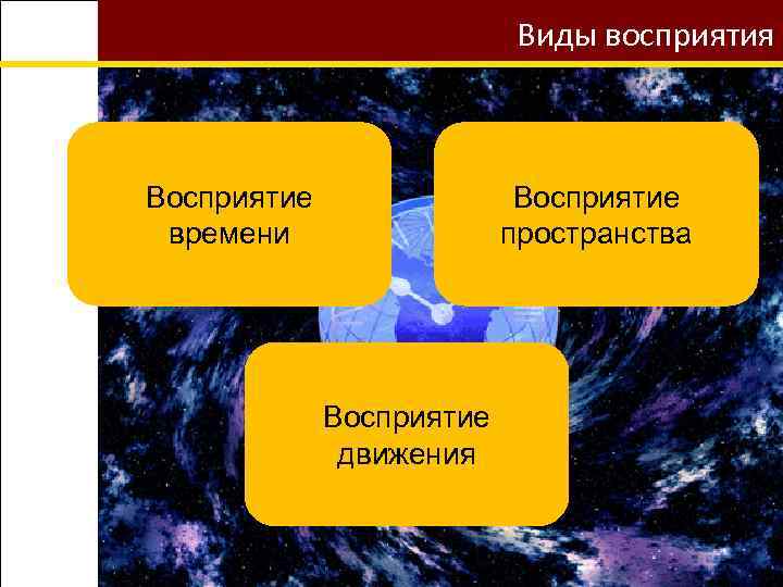 Виды восприятия Восприятие времени Восприятие пространства Восприятие движения 