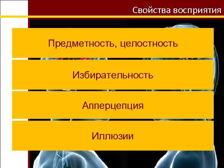 Свойства восприятия Предметность, целостность Избирательность Апперцепция Иллюзии 