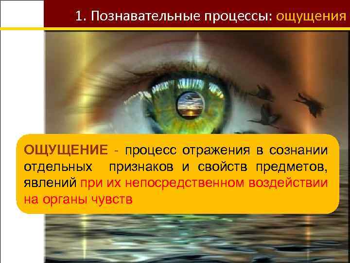 Непосредственного воздействия на органы чувств. Познавательные процессы ощущение. Процесс отражения в сознании человека отдельных свойств и качеств. Когнитивные процессы это ощущения. Ощущение как познавательный процесс.