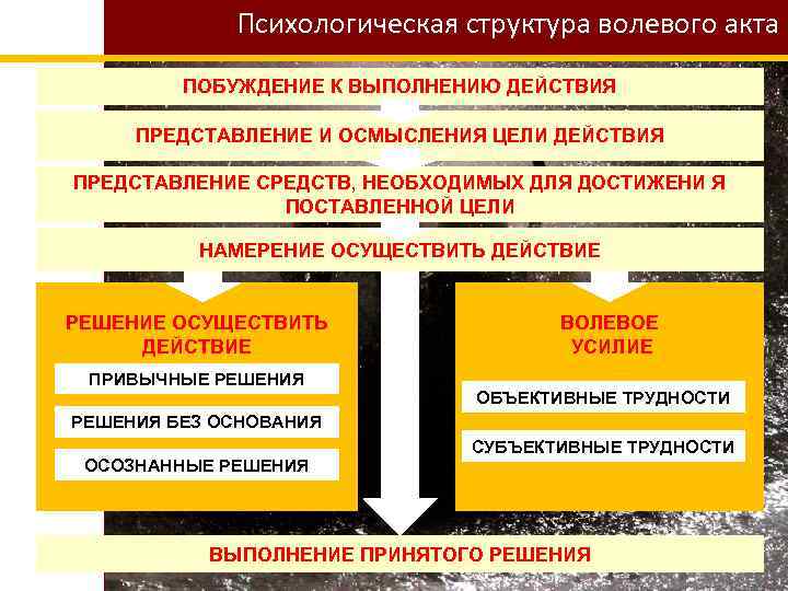 Психологическая структура волевого акта ПОБУЖДЕНИЕ К ВЫПОЛНЕНИЮ ДЕЙСТВИЯ ПРЕДСТАВЛЕНИЕ И ОСМЫСЛЕНИЯ ЦЕЛИ ДЕЙСТВИЯ ПРЕДСТАВЛЕНИЕ