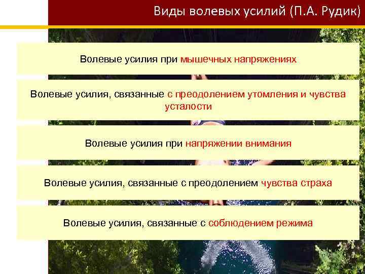 Виды волевых усилий (П. А. Рудик) Волевые усилия при мышечных напряжениях Волевые усилия, связанные