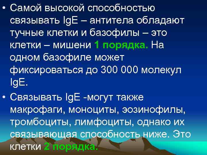  • Самой высокой способностью связывать Ig. Е – антитела обладают тучные клетки и