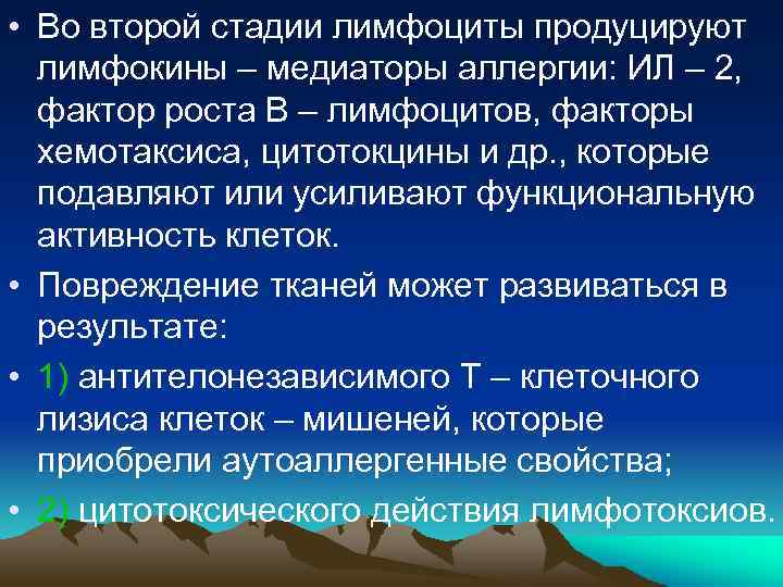  • Во второй стадии лимфоциты продуцируют лимфокины – медиаторы аллергии: ИЛ – 2,