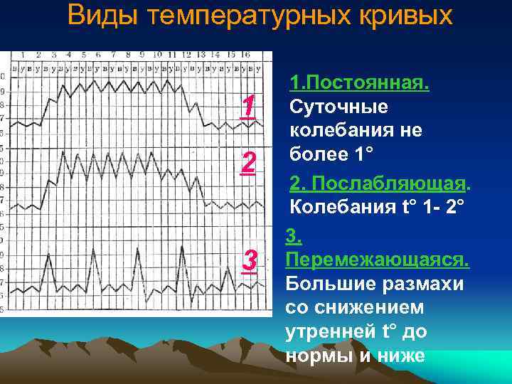 Виды температурных кривых 1 2 3 1. Постоянная. Суточные колебания не более 1° 2.