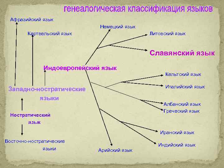 Генеалогическая классификация языков презентация