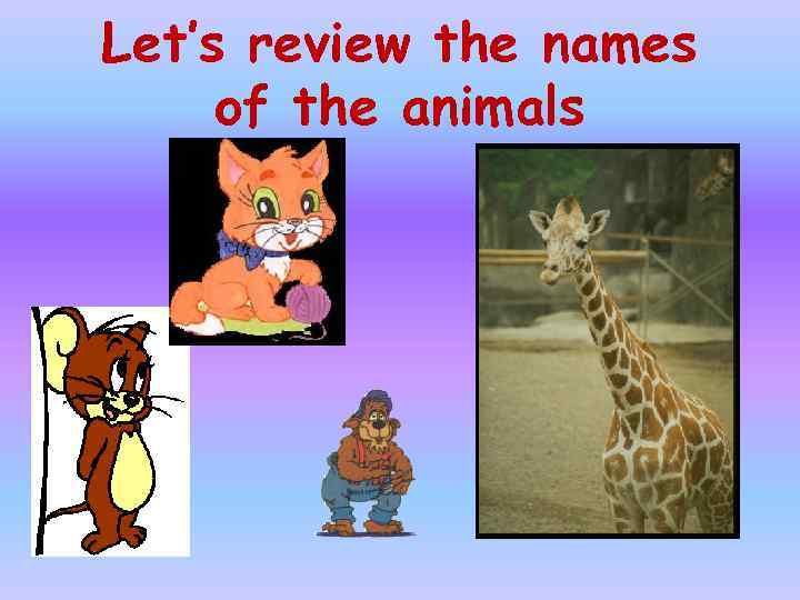 Let’s review the names of the animals 