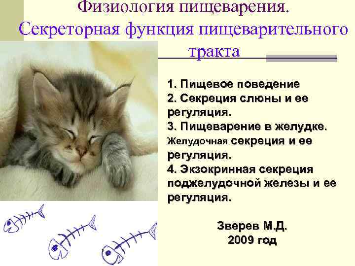 Физиология пищеварения. Секреторная функция пищеварительного тракта 1. Пищевое поведение 2. Секреция слюны и ее