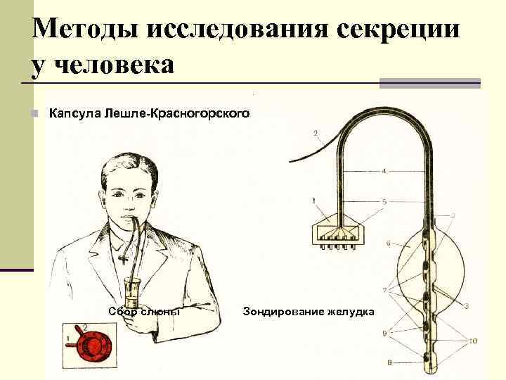 Схема капсулы красногорского