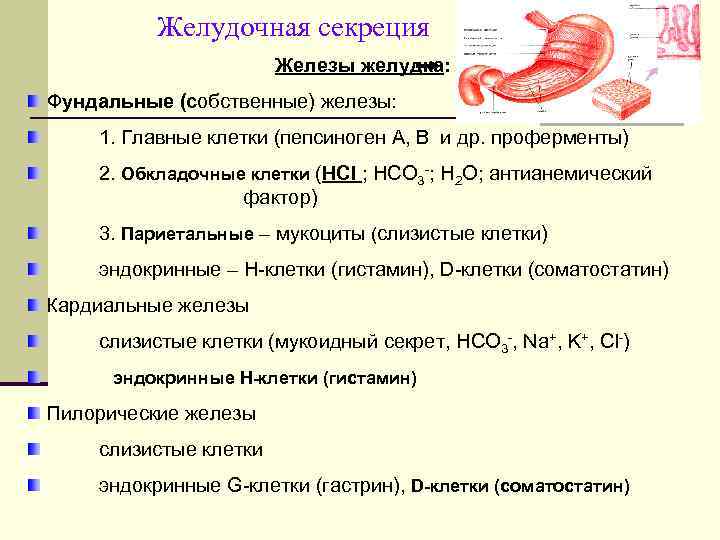 Пепсиногены повышены