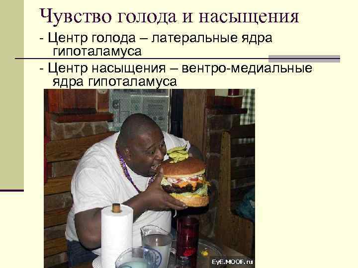 Чувство голода и насыщения - Центр голода – латеральные ядра гипоталамуса - Центр насыщения