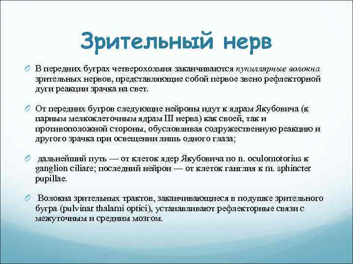 Зрительный нерв O В передних буграх четверохолмия заканчиваются пупиллярные волокна зрительных нервов, представляющие собой