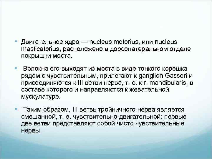  • Двигательное ядро — nucleus motorius, или nucleus masticatorius, расположено в дорсолатеральном отделе