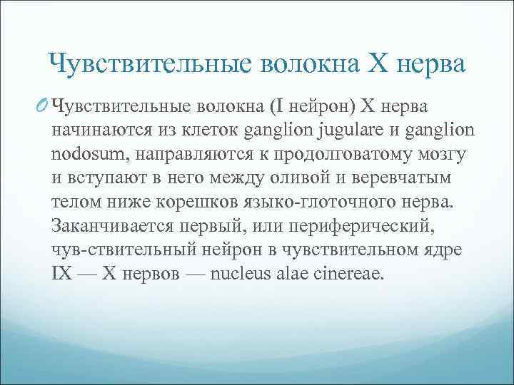 Чувствительные волокна Х нерва O Чувствительные волокна (I нейрон) Х нерва начинаются из клеток