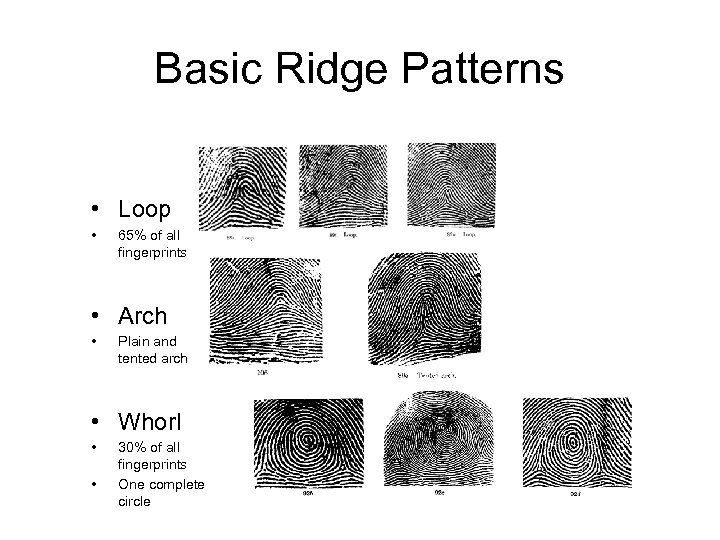 Basic Ridge Patterns • Loop • 65% of all fingerprints • Arch • Plain