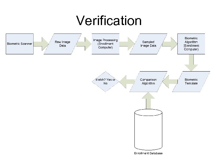 Verification 