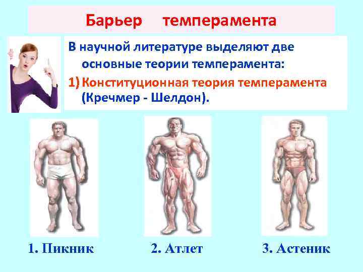 Барьер темперамента В научной литературе выделяют две основные теории темперамента: 1) Конституционная теория темперамента