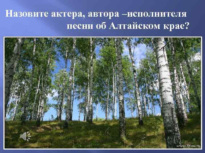 Назовите актера, автора –исполнителя песни об Алтайском крае? 