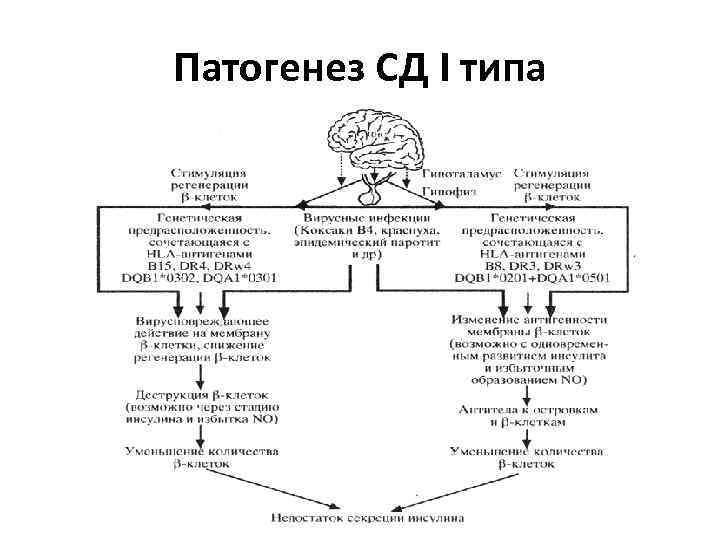 Типа патогенез. Патогенез СД 1 типа схема. Патогенез СД 1 типа патогенез. Механизм развития СД 1 типа схема. Факторы патогенеза СД 1 типа.