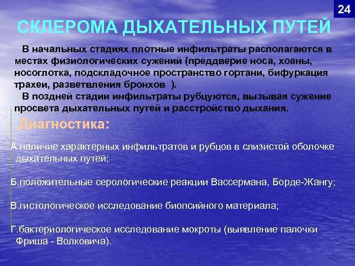 24 СКЛЕРОМА ДЫХАТЕЛЬНЫХ ПУТЕЙ В начальных стадиях плотные инфильтраты располагаются в местах физиологических сужений