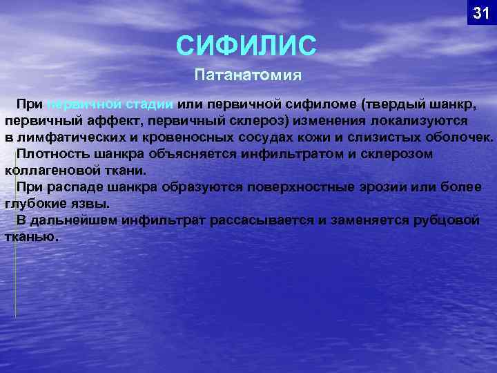 31 СИФИЛИС Патанатомия При первичной стадии или первичной сифиломе (твердый шанкр, первичный аффект, первичный
