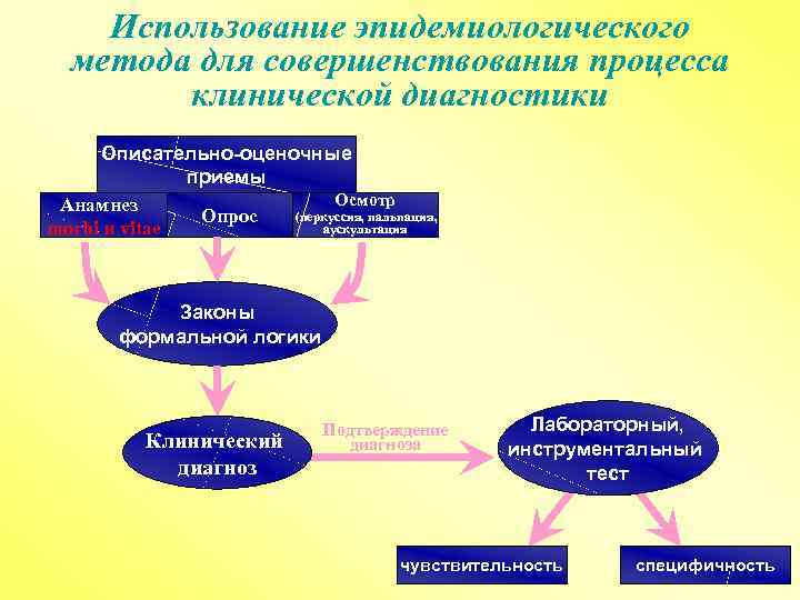 Использование эпидемиологического метода для совершенствования процесса клинической диагностики Описательно-оценочные приемы Осмотр Анамнез (перкуссия, пальпация,