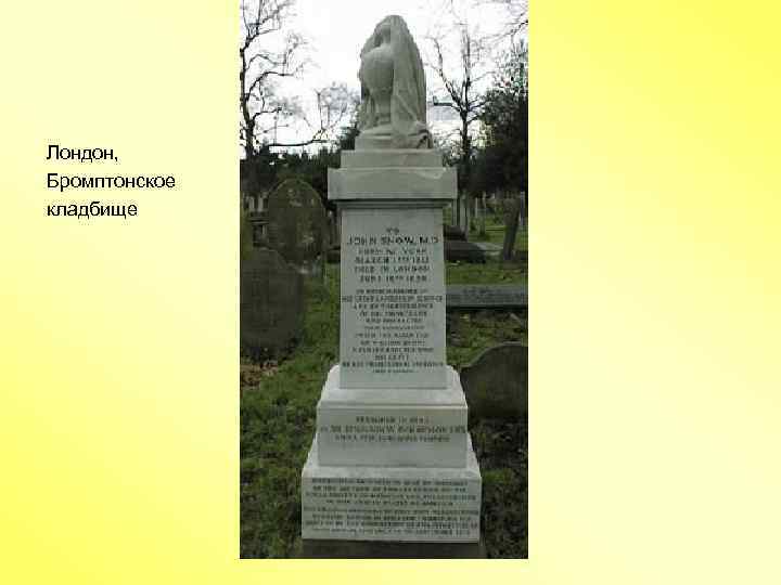 Лондон, Бромптонское кладбище 