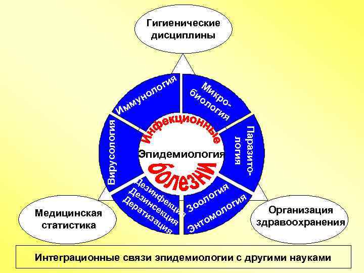 Гигиенические дисциплины ол я ги о ун м Медицинская статистика Эпидемиология Паразитология Вирусология Им