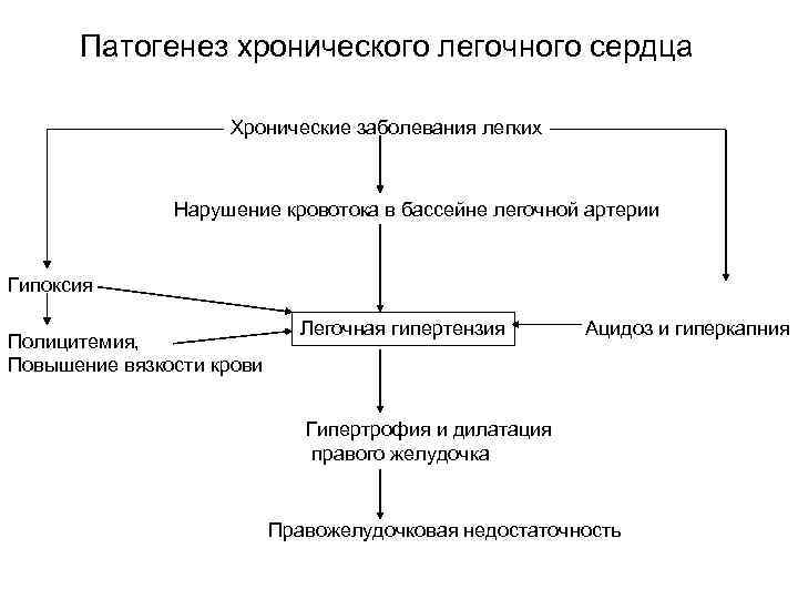 Патогенез хронического легочного сердца Хронические заболевания легких Нарушение кровотока в бассейне легочной артерии Гипоксия