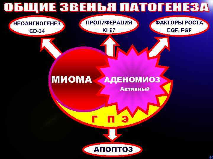 НЕОАНГИОГЕНЕЗ CD-34 ПРОЛИФЕРАЦИЯ KI-67 МИОМА ФАКТОРЫ РОСТА EGF, FGF АДЕНОМИОЗ Активный Г П Э