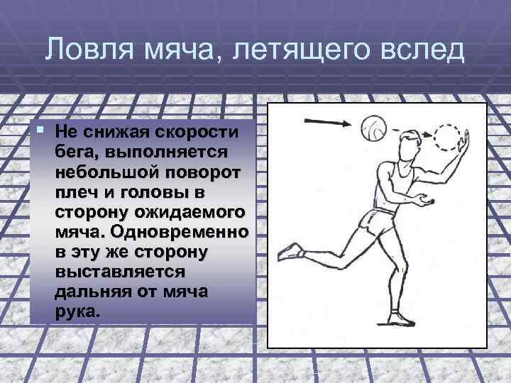 Ловля мяча, летящего вслед § Не снижая скорости бега, выполняется небольшой поворот плеч и
