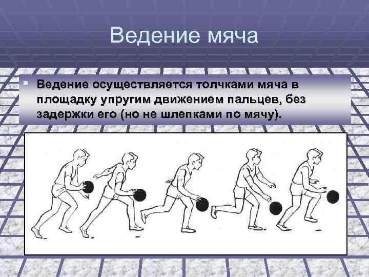 Ведение мяча § Ведение осуществляется толчками мяча в площадку упругим движением пальцев, без задержки