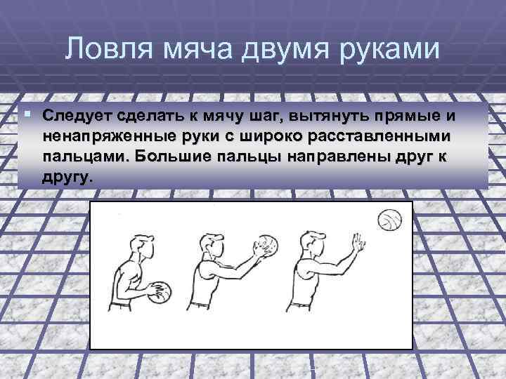 Ловля мяча двумя руками § Следует сделать к мячу шаг, вытянуть прямые и ненапряженные