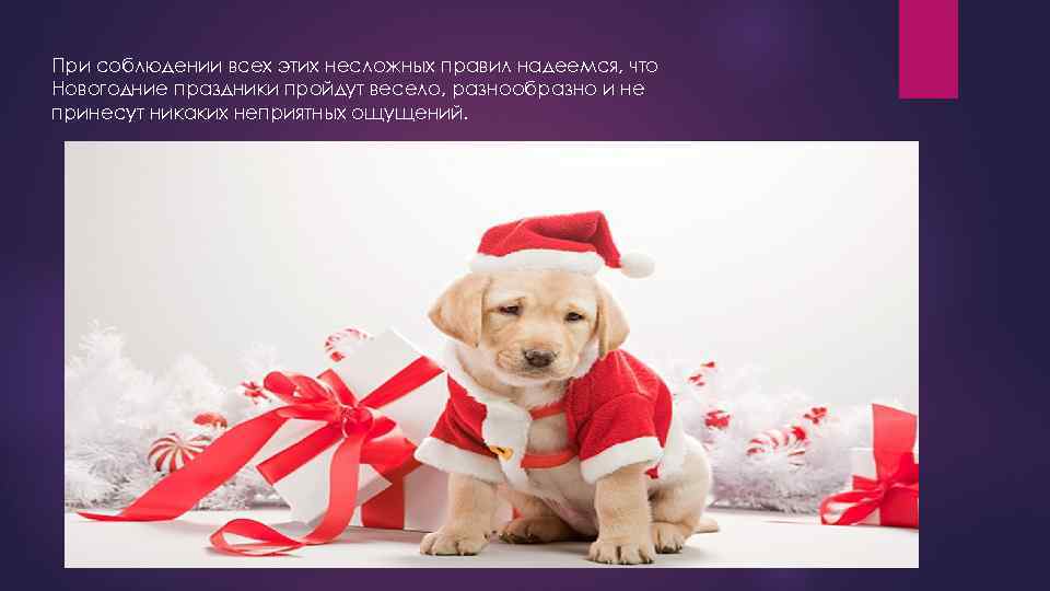 При соблюдении всех этих несложных правил надеемся, что Новогодние праздники пройдут весело, разнообразно и