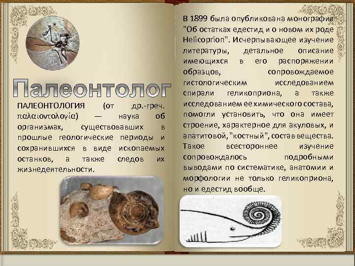 ПАЛЕОНТОЛОГИЯ (от др. греч. παλαιοντολογία) — наука об организмах, существовавших в прошлые геологические периоды