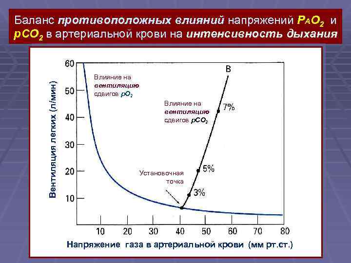 Вентиляция легких (л/мин) Баланс противоположных влияний напряжений PAO 2 и p. CO 2 в