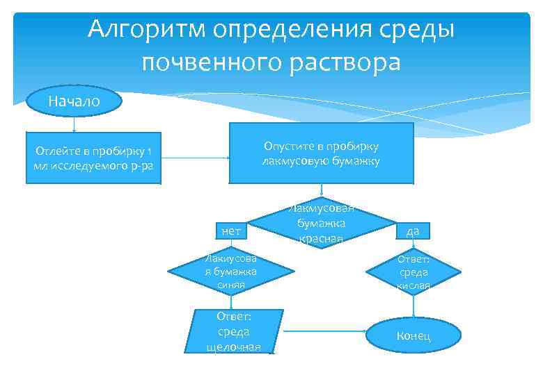 Алгоритм определения среды почвенного раствора Начало Опустите в пробирку лакмусовую бумажку Отлейте в пробирку