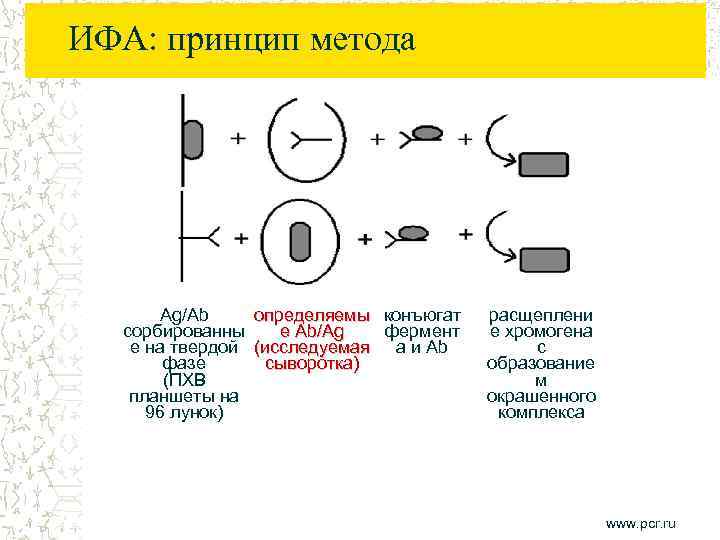 ИФА: принцип метода Ag/Ab определяемы конъюгат сорбированны е Ab/Ag фермент е на твердой (исследуемая