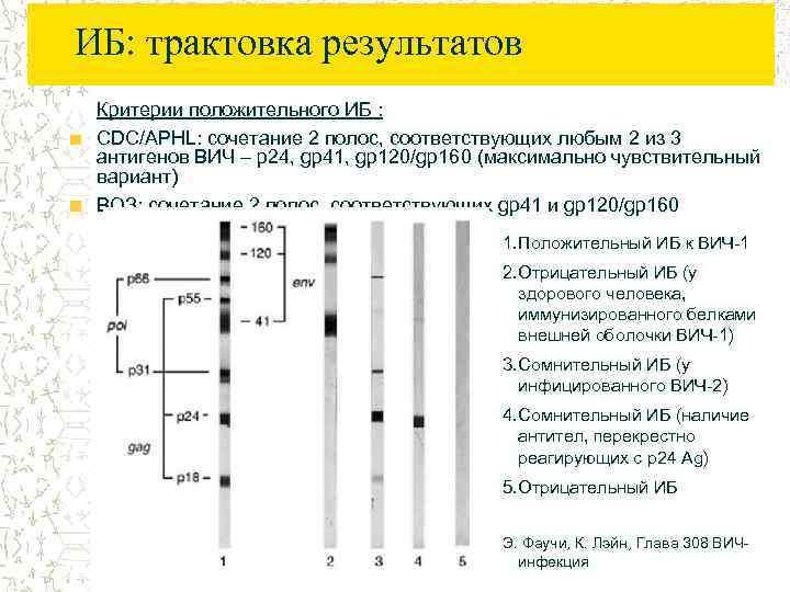 Вич 1 2 и антигена p24
