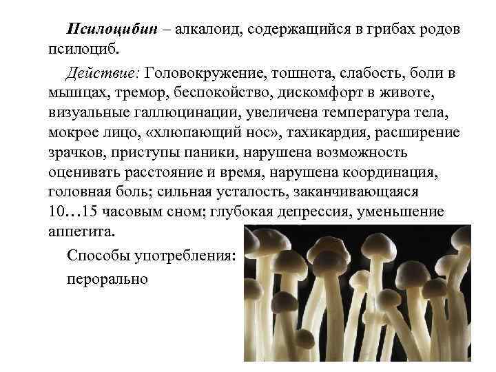 Псилоцибин – алкалоид, содержащийся в грибах родов псилоциб. Действие: Головокружение, тошнота, слабость, боли в