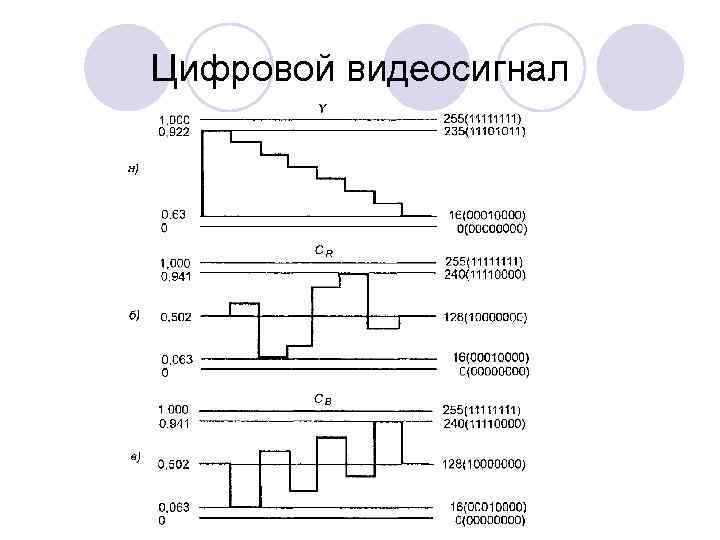 Цифровой видеосигнал 