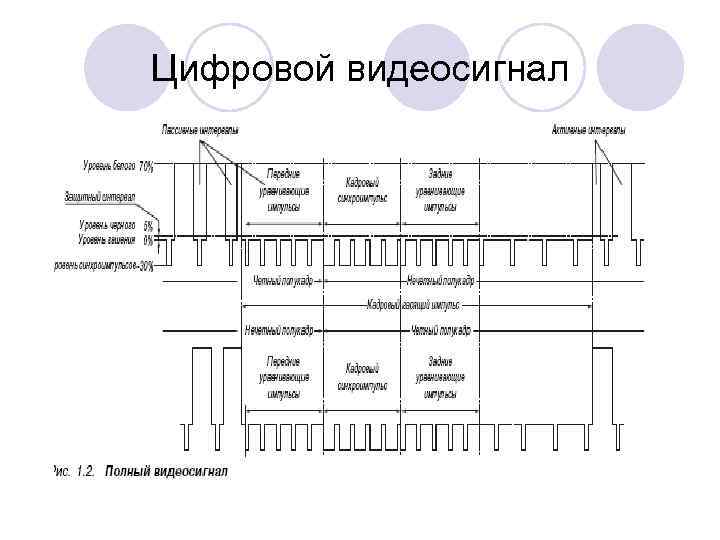 Цифровой видеосигнал 