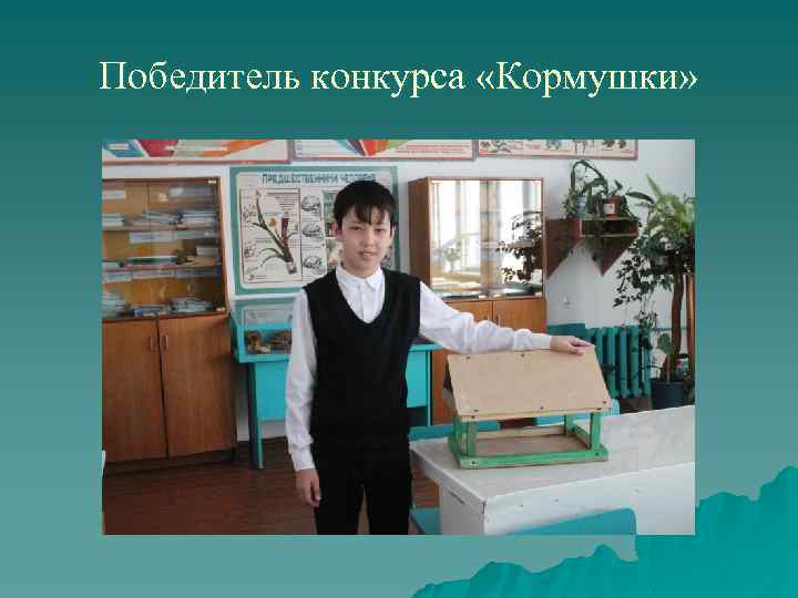 Победитель конкурса «Кормушки» 